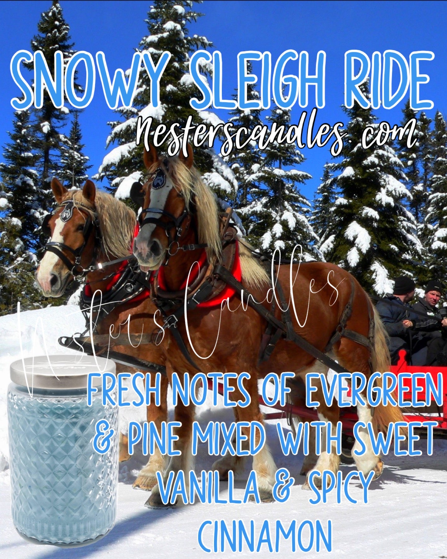 Snowy Sleigh Ride